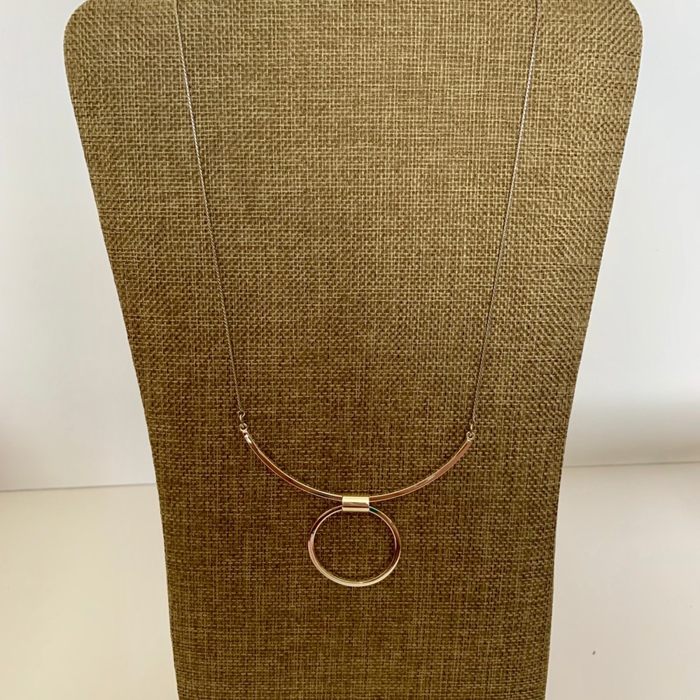 Premier Designs Silver Radius Necklace